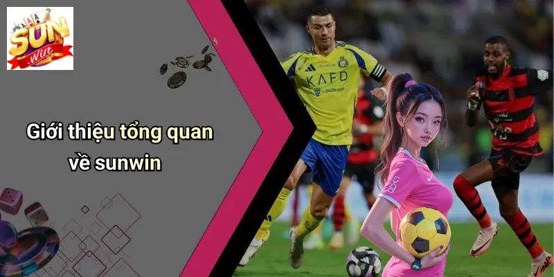 gioi-thieu-tong-quan-ve-sunwin